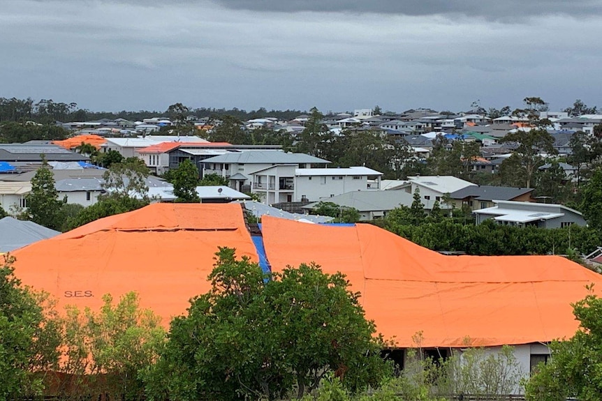 Tarps covering roofs in a suburb