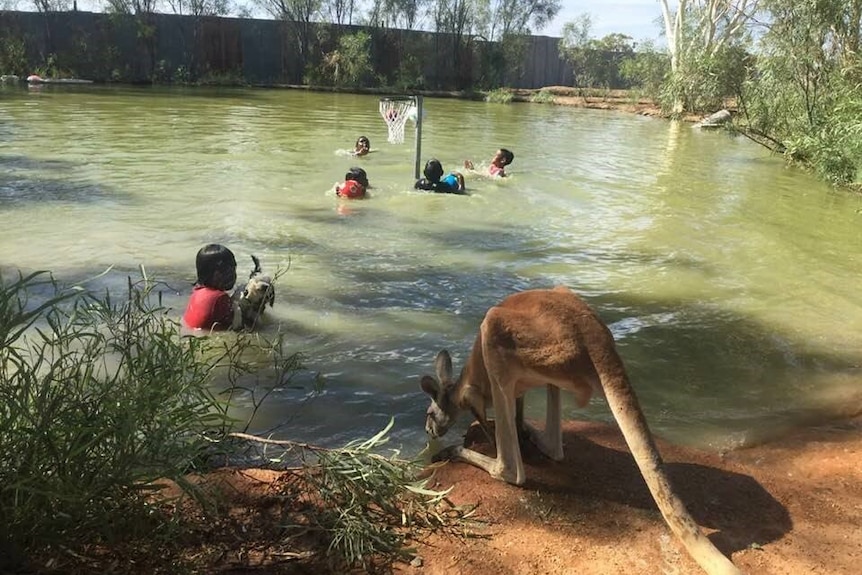 Children in Urandangi cool off during summer heat in a swimming hole, with a kangaroo at the water's edge.