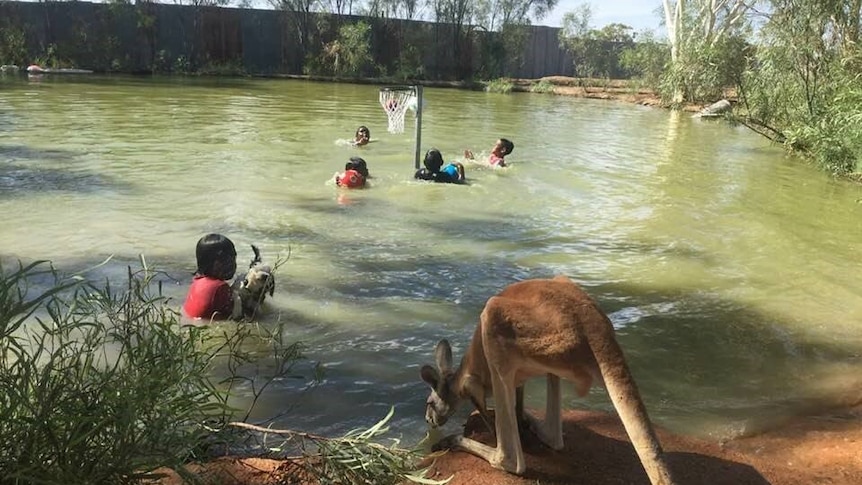 Children in Urandangi cool off during summer heat in a swimming hole, with a kangaroo at the water's edge.