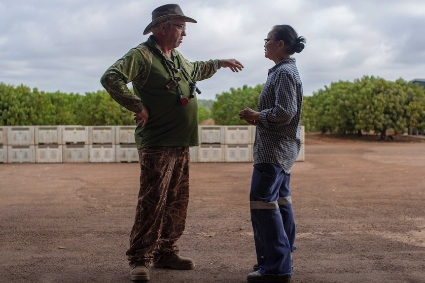 A hunter wearing a hat and camouflage clothing talks to a mango farmer
