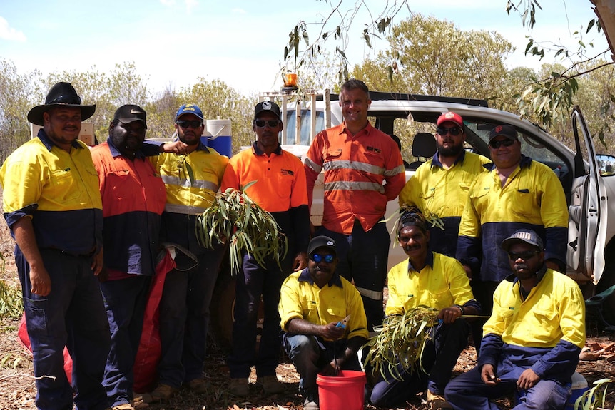 A group of indigenous seed pickers standing under a tree and in front of a car in the bush