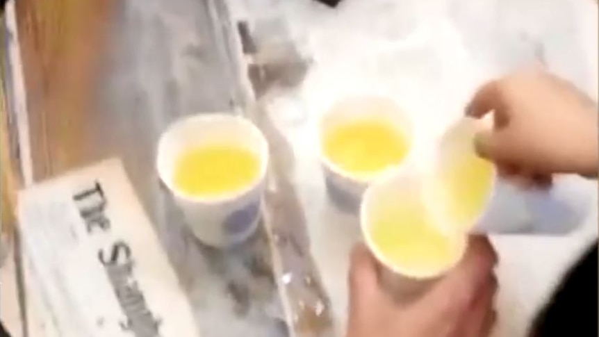 Grainy footage of three white cups filed with a yellow liquid