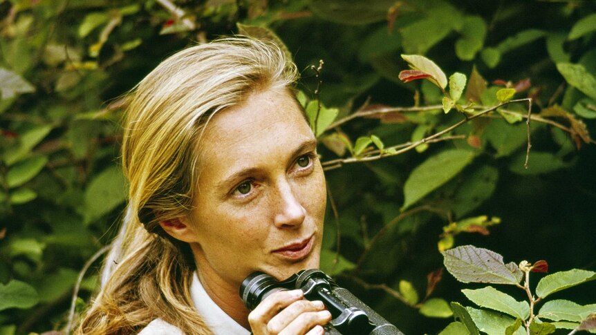 Close up of a young woman's face with a blonde ponytail holding binoculars to her chin and surrounded by lush bushes and forest