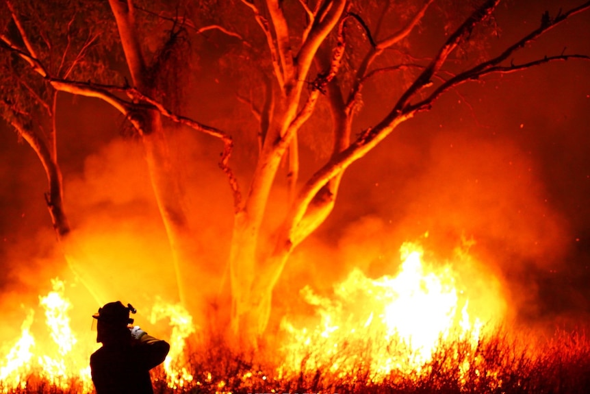 A firefighter conducts backburning on a large bushy area