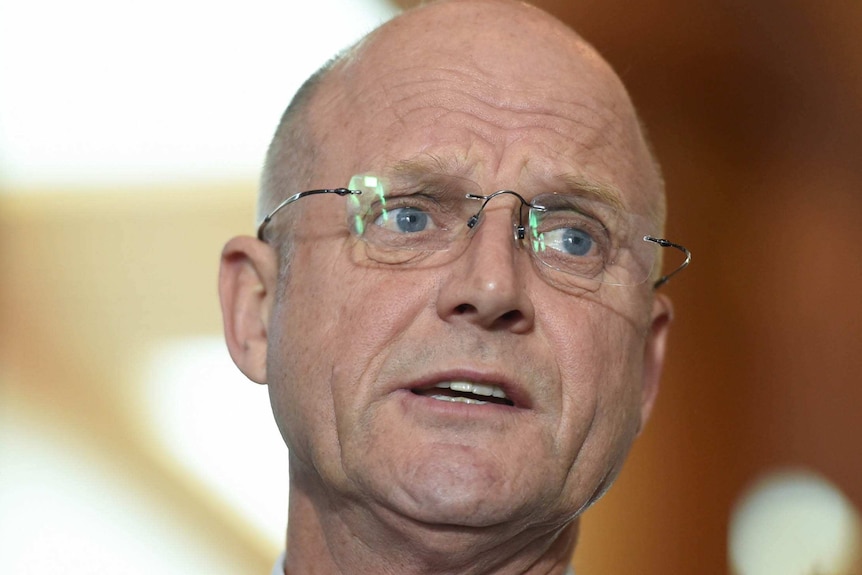A head shot of David Leyonhjelm, wearing glasses, looking concerned