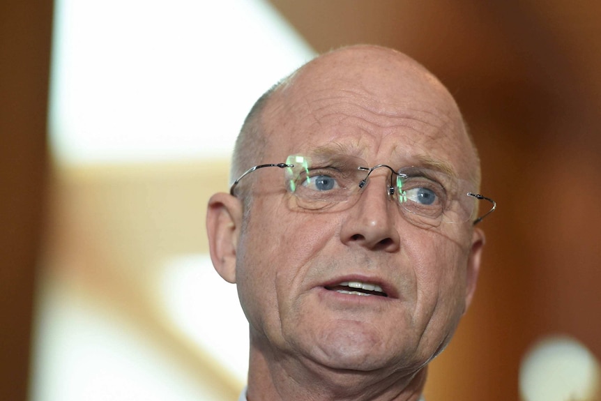 David Leyonhjelm