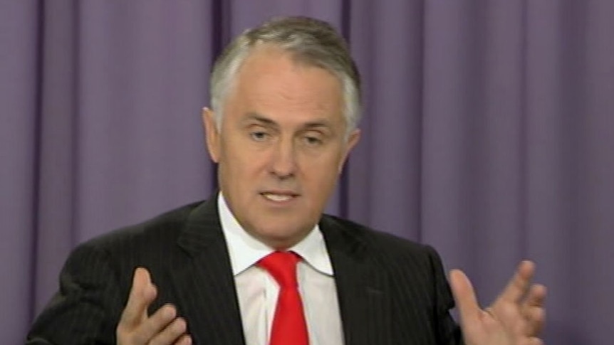 Environment Minister Malcolm Turnbull