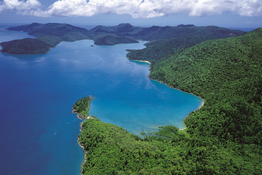 A large island covered in green trees, surrounded by crystal blue water