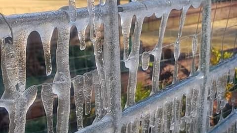 Ice hangs off a fence