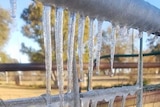 Ice hangs off a fence