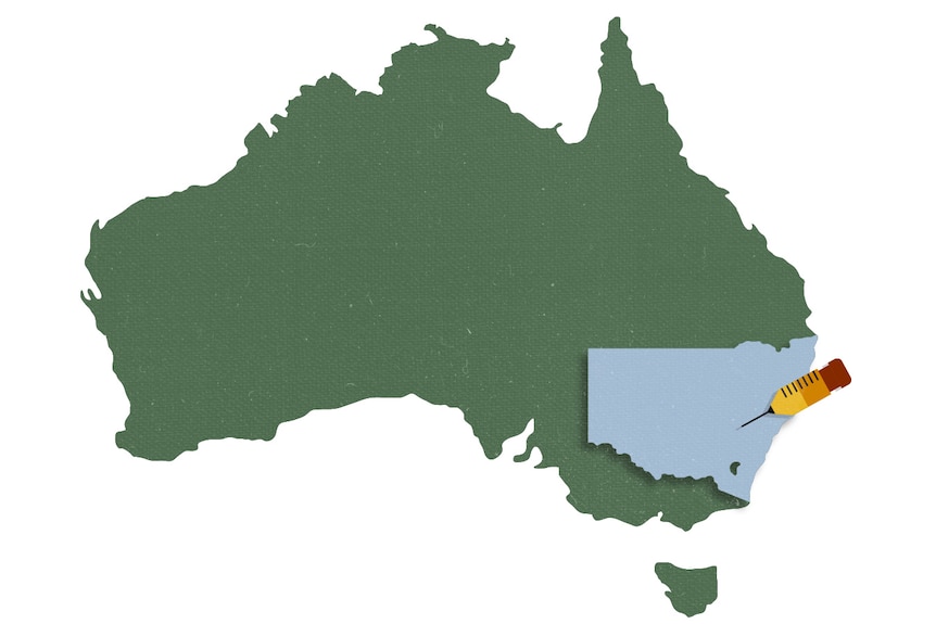 A graphic design of Australia, in green, with New south wales highlighted in light blue with a vaccine symbol on it