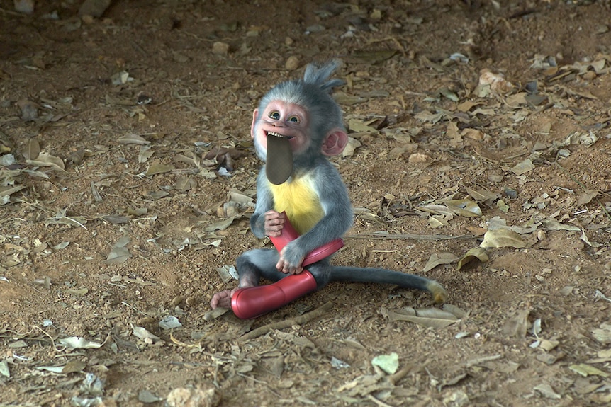 An animated brightly coloured monkey with tongue out, sits on the floor on dirt wearing red boots.