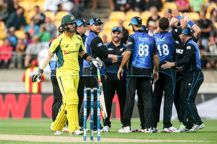 New Zealand celebrates Glenn Maxwell dismissal