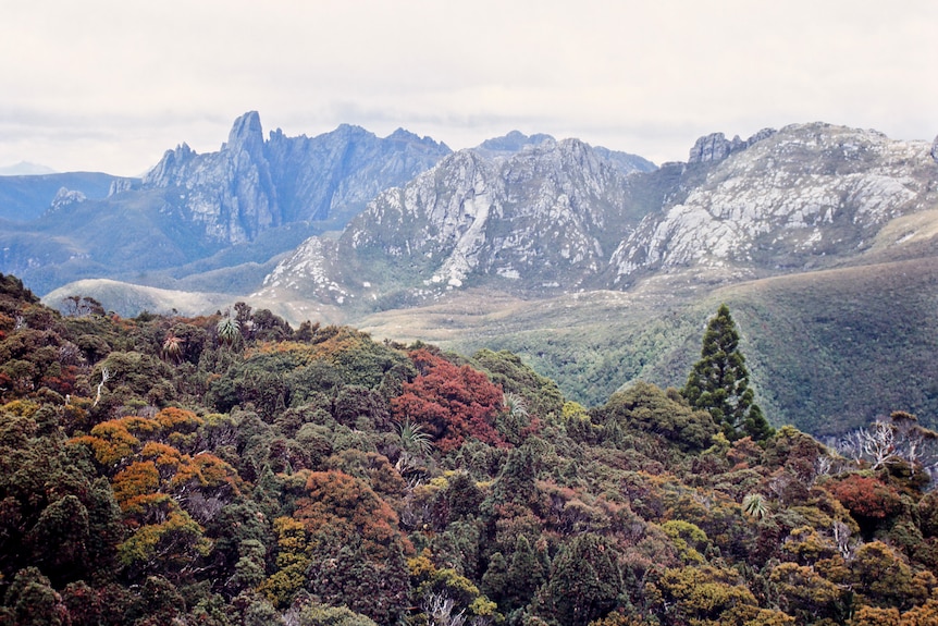 Landscape showing Federation Peak