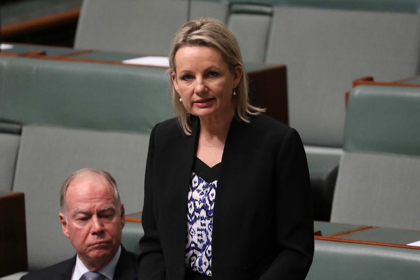 Sussan Ley stands in the House of Representatives with her speech on a desk lectern as she addresses the Parliament