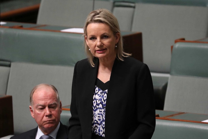 Sussan Ley stands in the House of Representatives with her speech on a desk lectern as she addresses the Parliament.