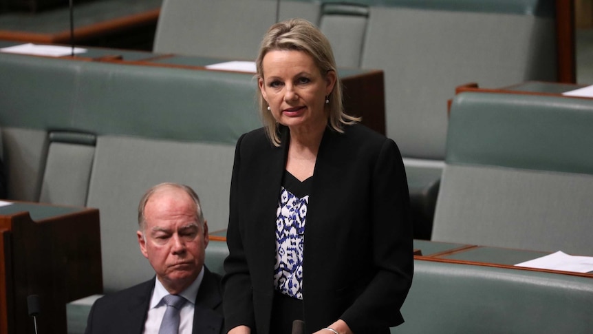 Sussan Ley stands in the House of Representatives with her speech on a desk lectern as she addresses the Parliament