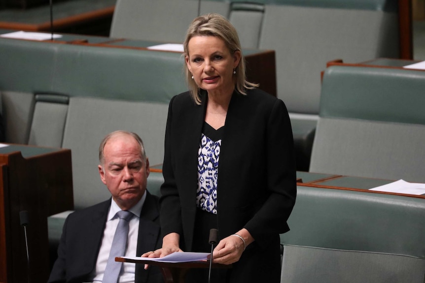 Sussan Ley stands in the House of Representatives with her speech on a desk lectern as she addresses the Parliament