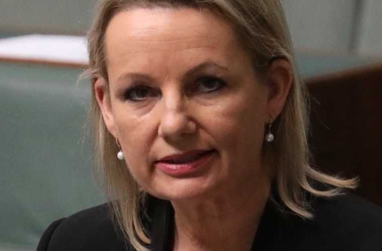 Sussan Ley stands in the House of Representatives with her speech on a desk lectern as she addresses the Parliament