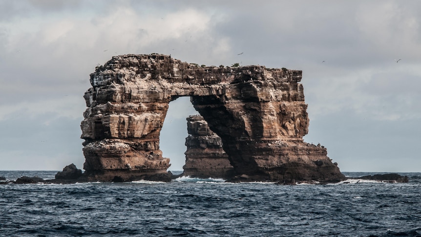 A rock in the ocean which has formed into a natural arch.