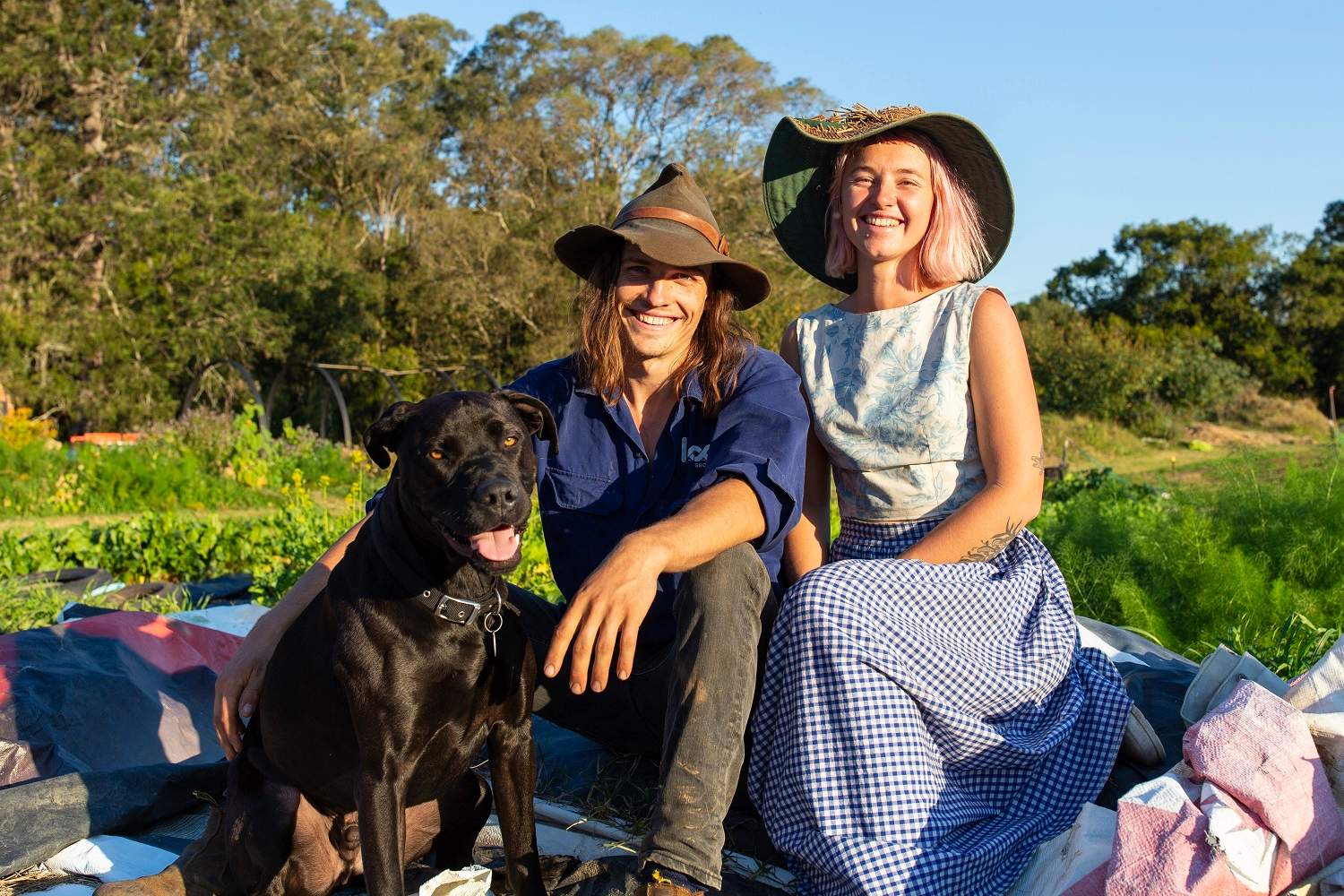 Farmers joining forces with cafes to put the waste from your brunch to