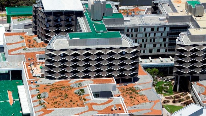A $330 million Fiona Stanley Hospital cost blowout has been blamed on the former Health Department chief Kim Snowball.