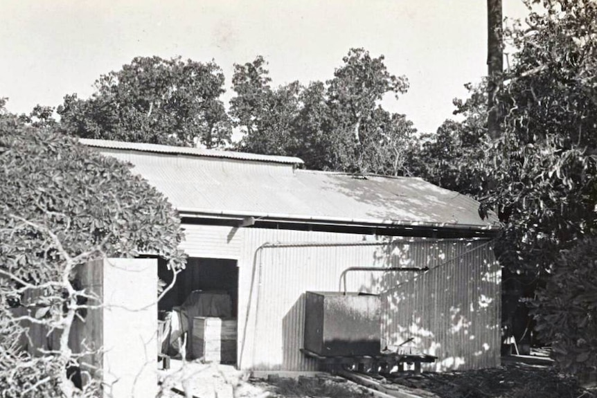 A black and white photo of a tin shed, trees around.