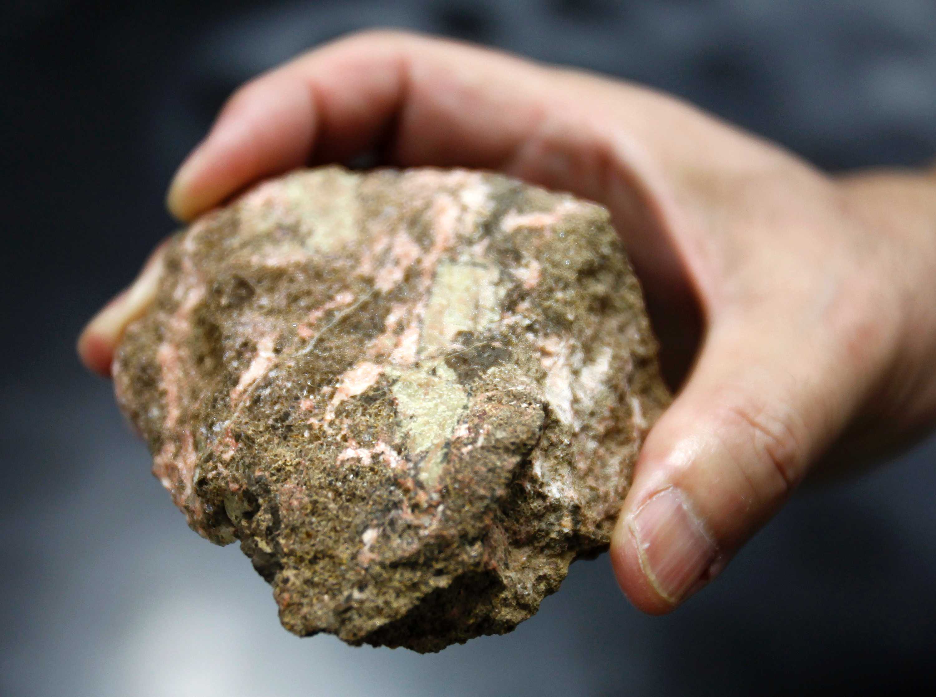 US students and teachers armed with rocks to fight back against school ...