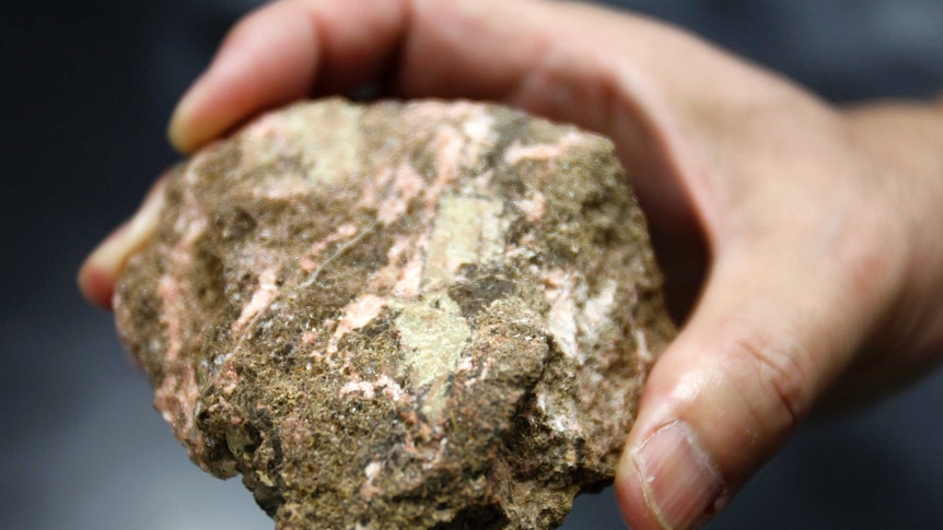 A hand holding a rock