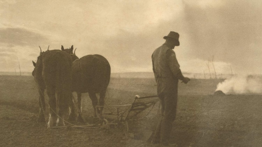 Peace after war and memories by Harold Cazneaux.