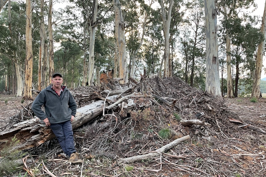 A man standing near a pile of tree and leaf litter