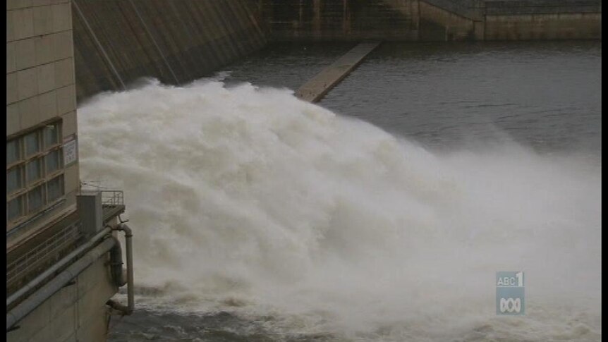 Dams reach 50 per cent capacity