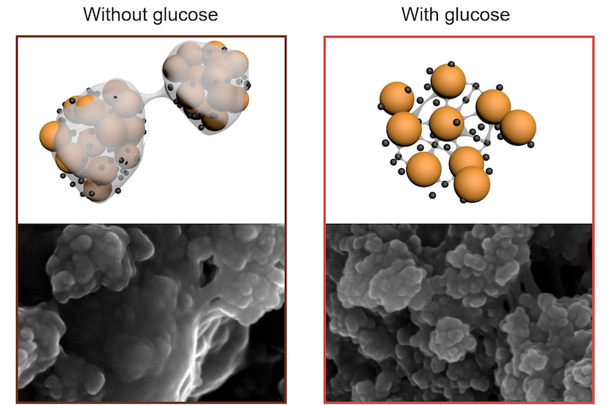 A diagram showing how glucose bonds to the electrodes