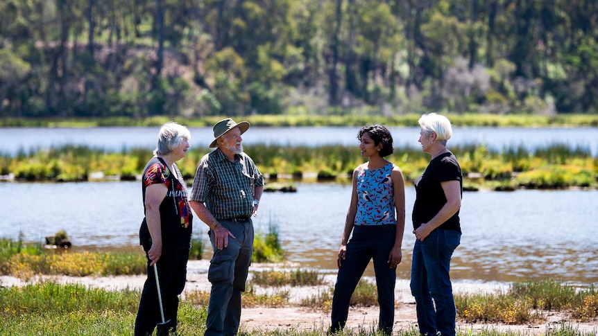 Elderly couple facing two women, green wetlands property in background. 