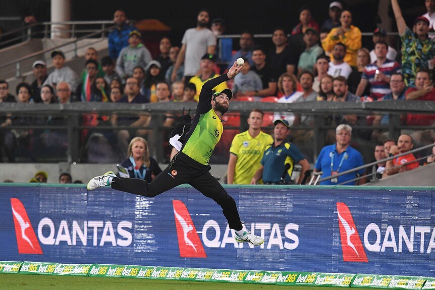 Glenn Maxwell takes a stunning catch on the boundary
