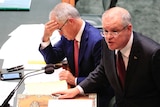 PM Malcolm Turnbull holds his forehead reading, as Treasurer Scott Morrison addresses Parliament.