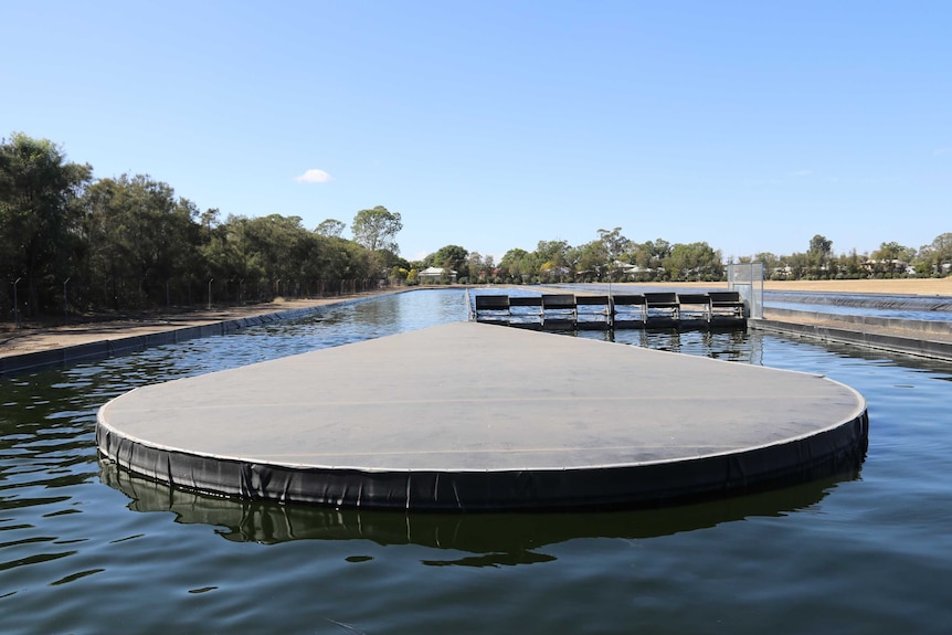 The commercial algae pond which is 250 metres long and sits in a paddock near Goondiwindi.