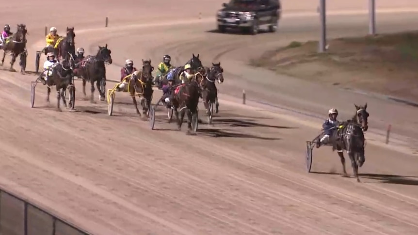 A horse is far ahead in a harness race.
