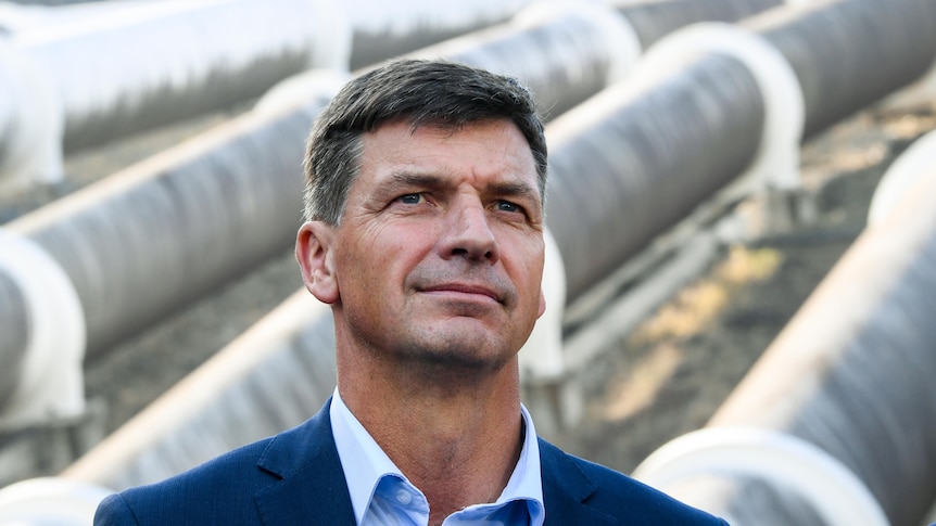 Energy Minister Angus Taylor