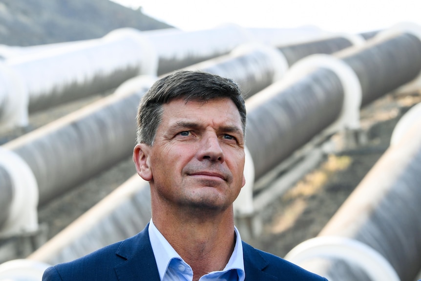 Energy Minister Angus Taylor