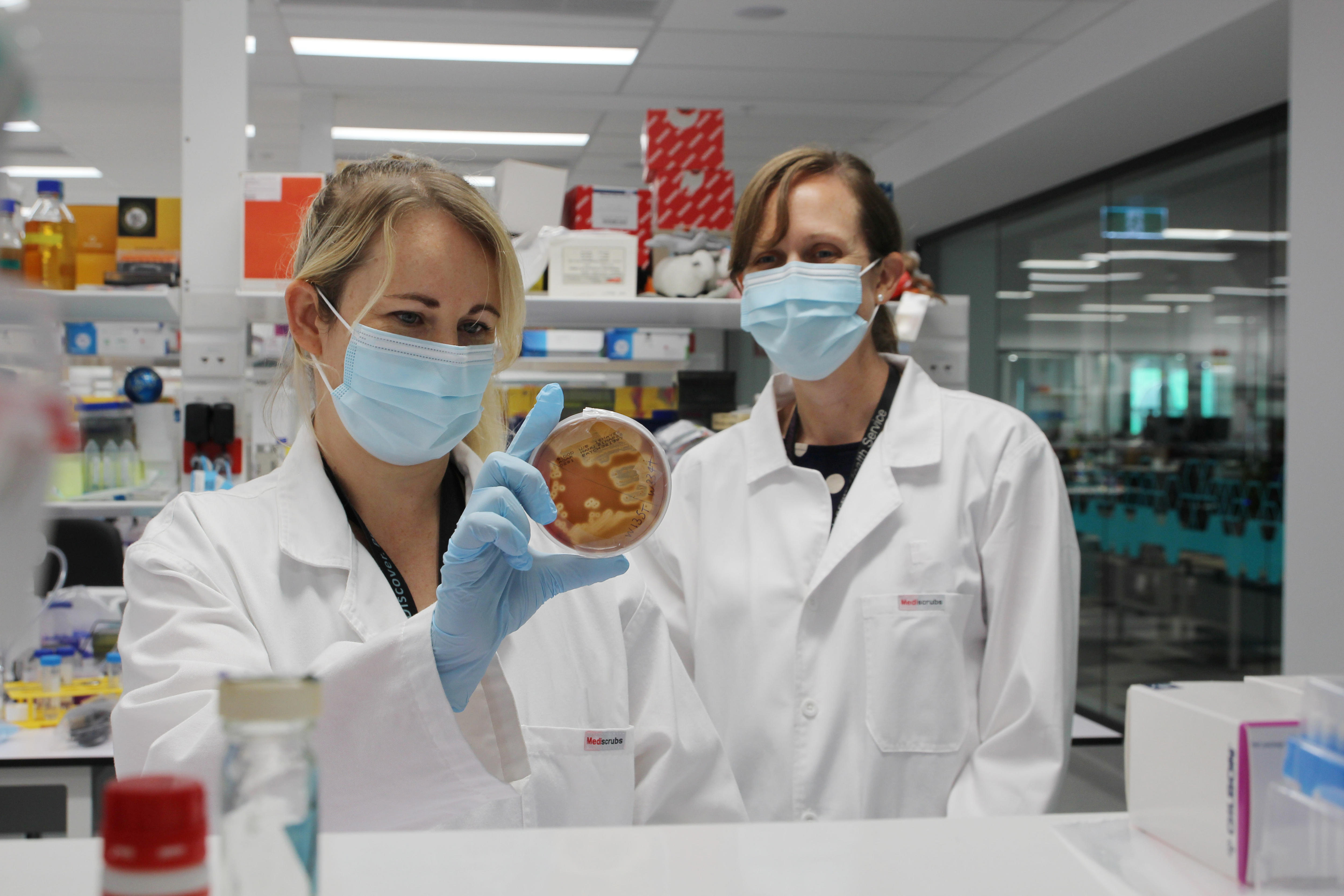 Dos mujeres enmascaradas con batas blancas de laboratorio examinan una placa de Petri en un laboratorio.