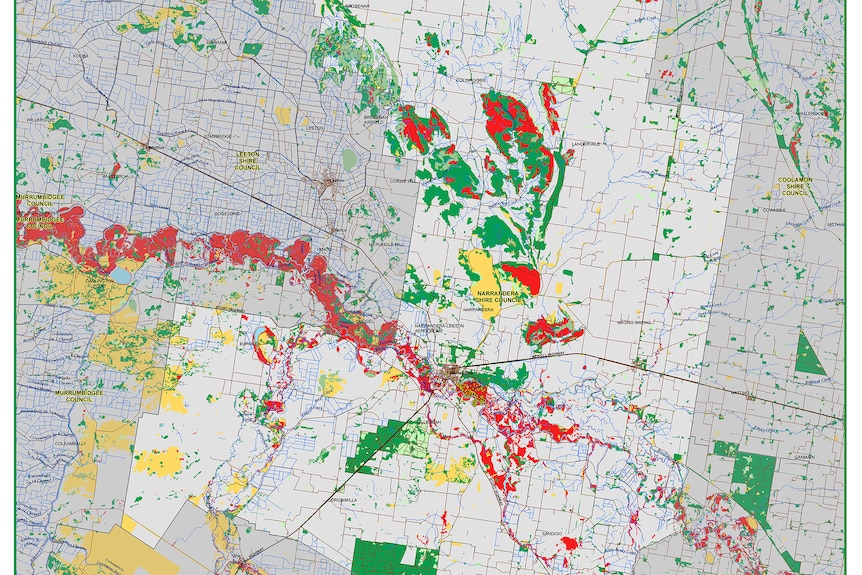 A map showing extensive koala habitat in Narrandera and along the Murrumbidgee River