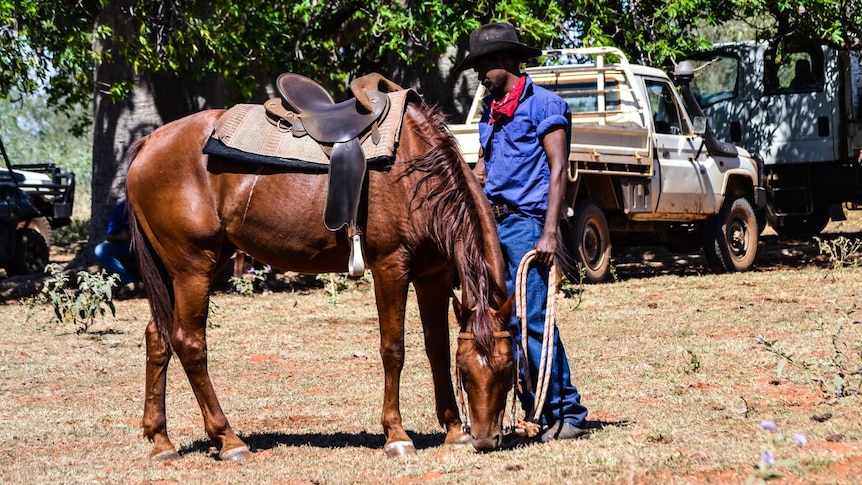 A cattleman on Myroodah Station.