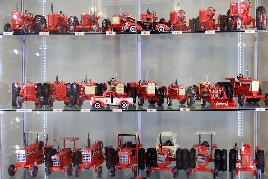 A glass cabinet containing three shelves of model Case International tractors.