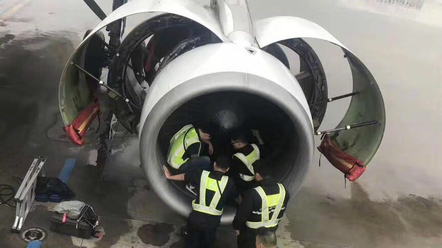 Five plane mechanics gather around a plane engine as they work to retrieve a coin thrown by a passenger.