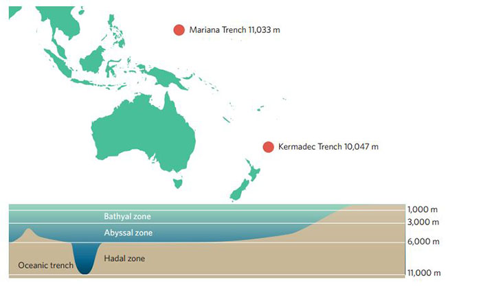 Illustration showing location and depth of deep ocean trenches