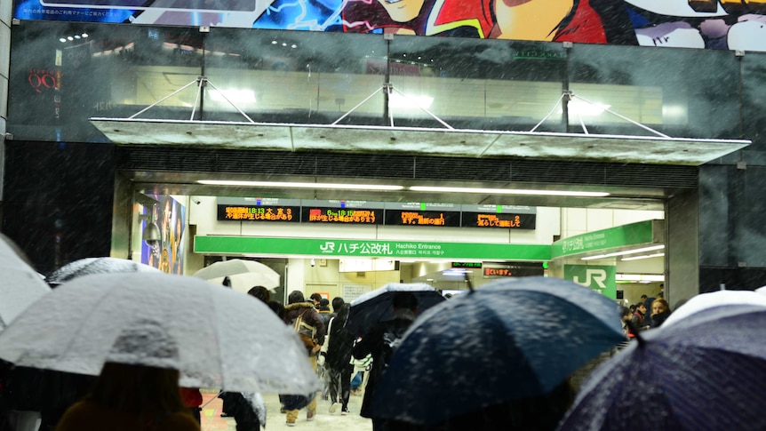 People hold umbrellas on a rainy day as they enter into Shibuya station in Tokyo