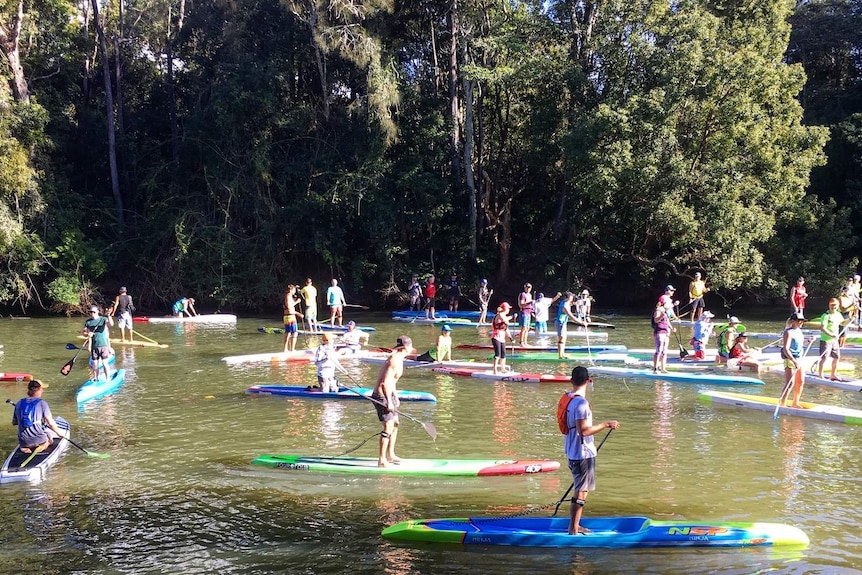 People standing up on boards in a river