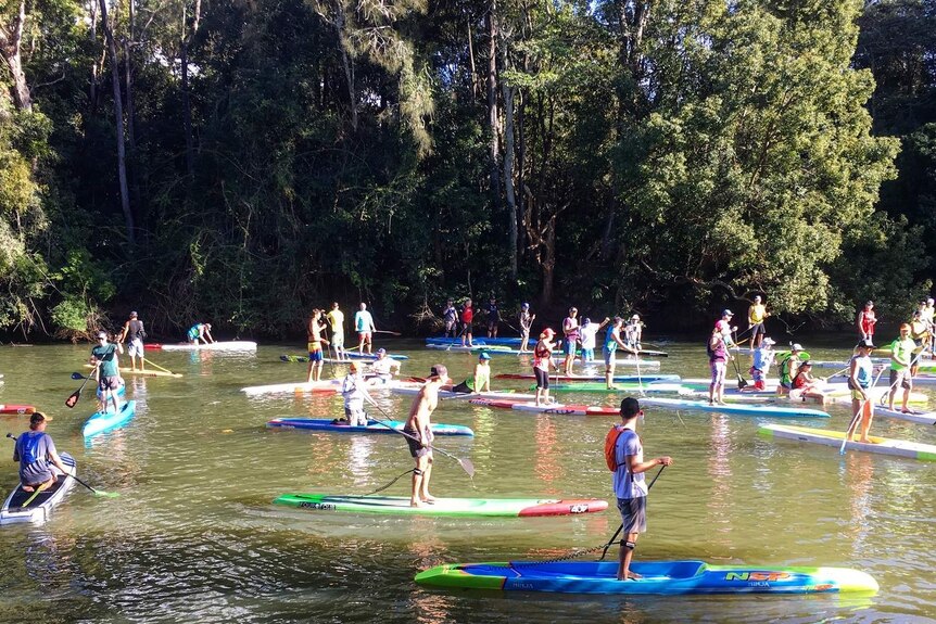 People standing up on boards in a river