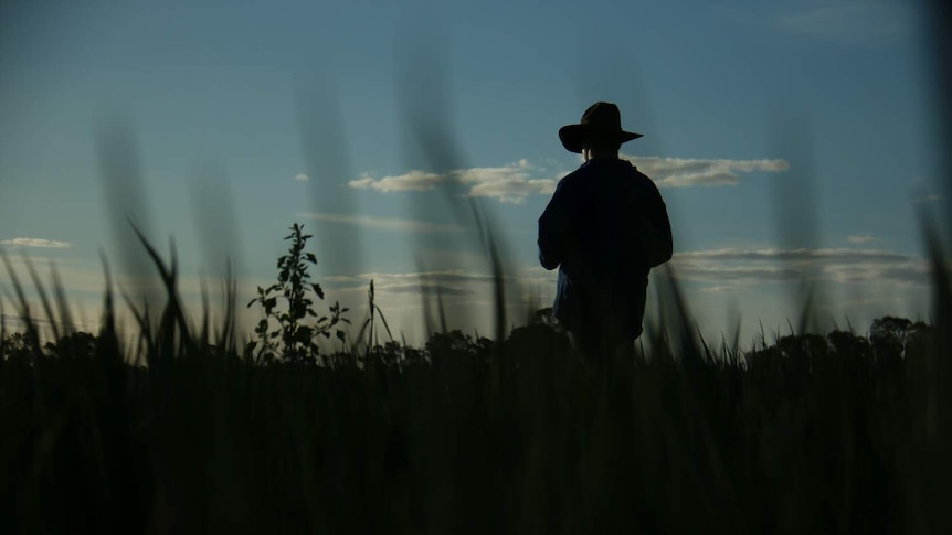 A farmer, facing away from the camera, is silhouetted against the sky.